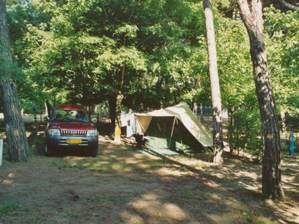 Camping Piomboni – zdjęcie 4