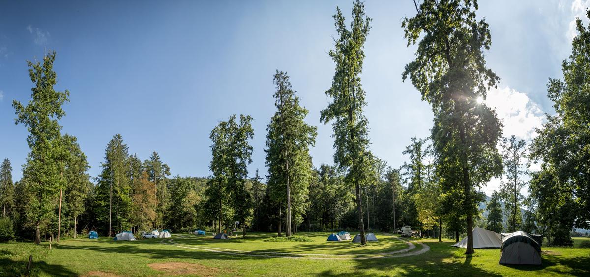 Forest Camping Mozirje – zdjęcie 1