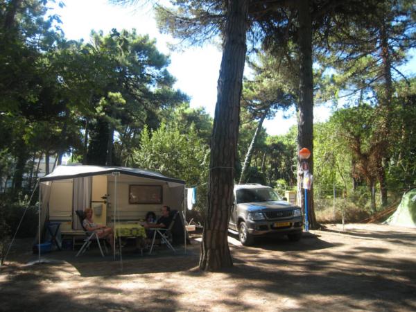 Camping Piomboni – image 3