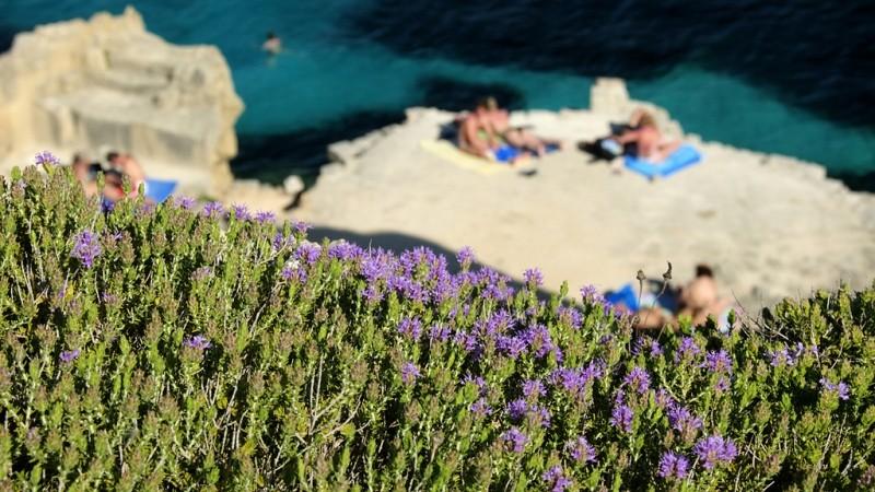 Odkrywaj oblicza Sycylii - kamperem przez słoneczną wyspę – zdjęcie 3