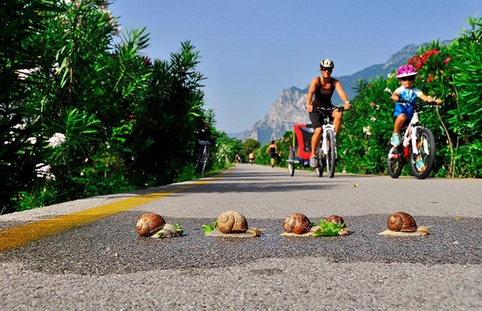 5 of the best cycling routes for the whole family – image 1