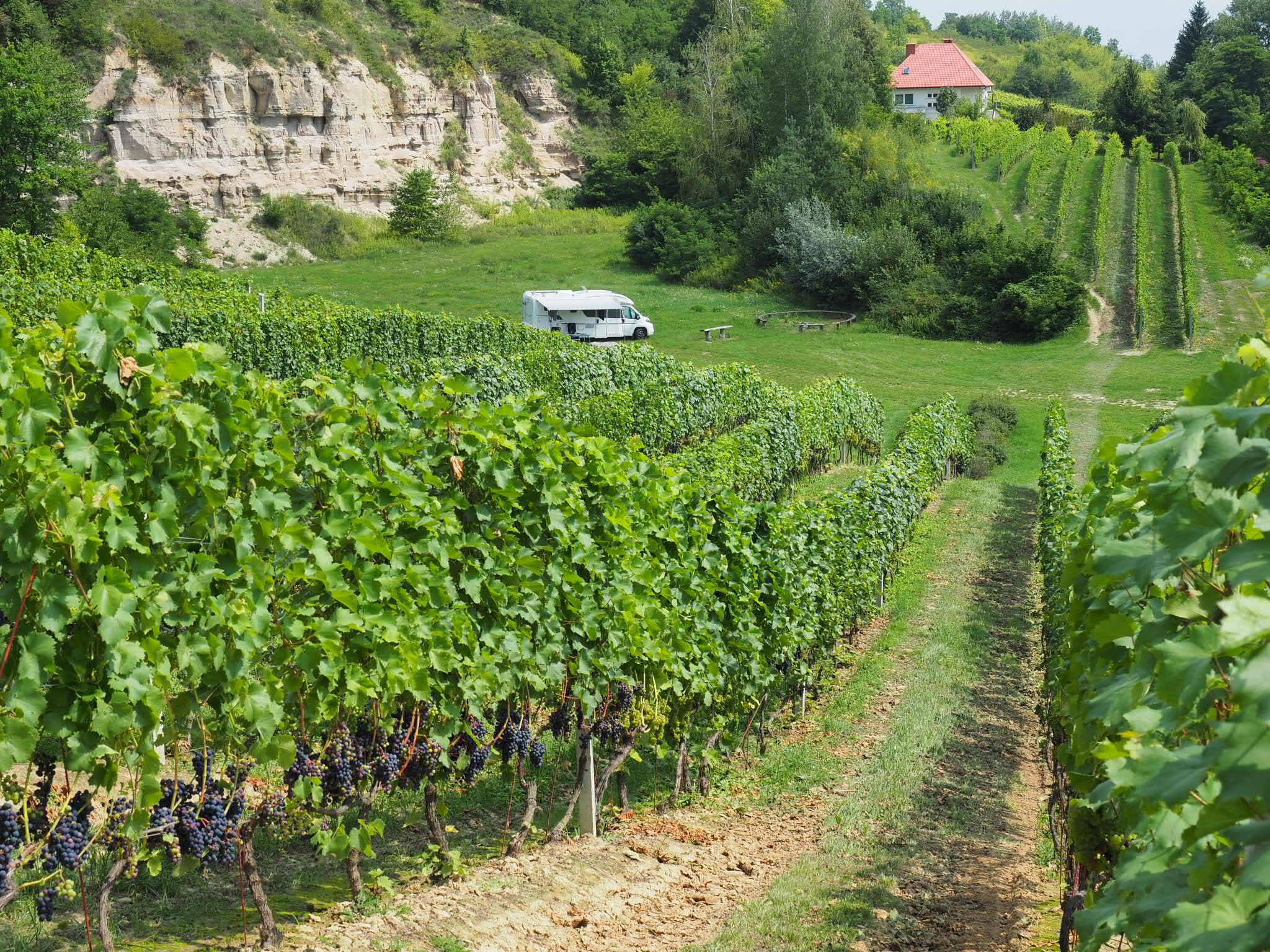 44 Polish vineyards friendly to motorhomes – image 3