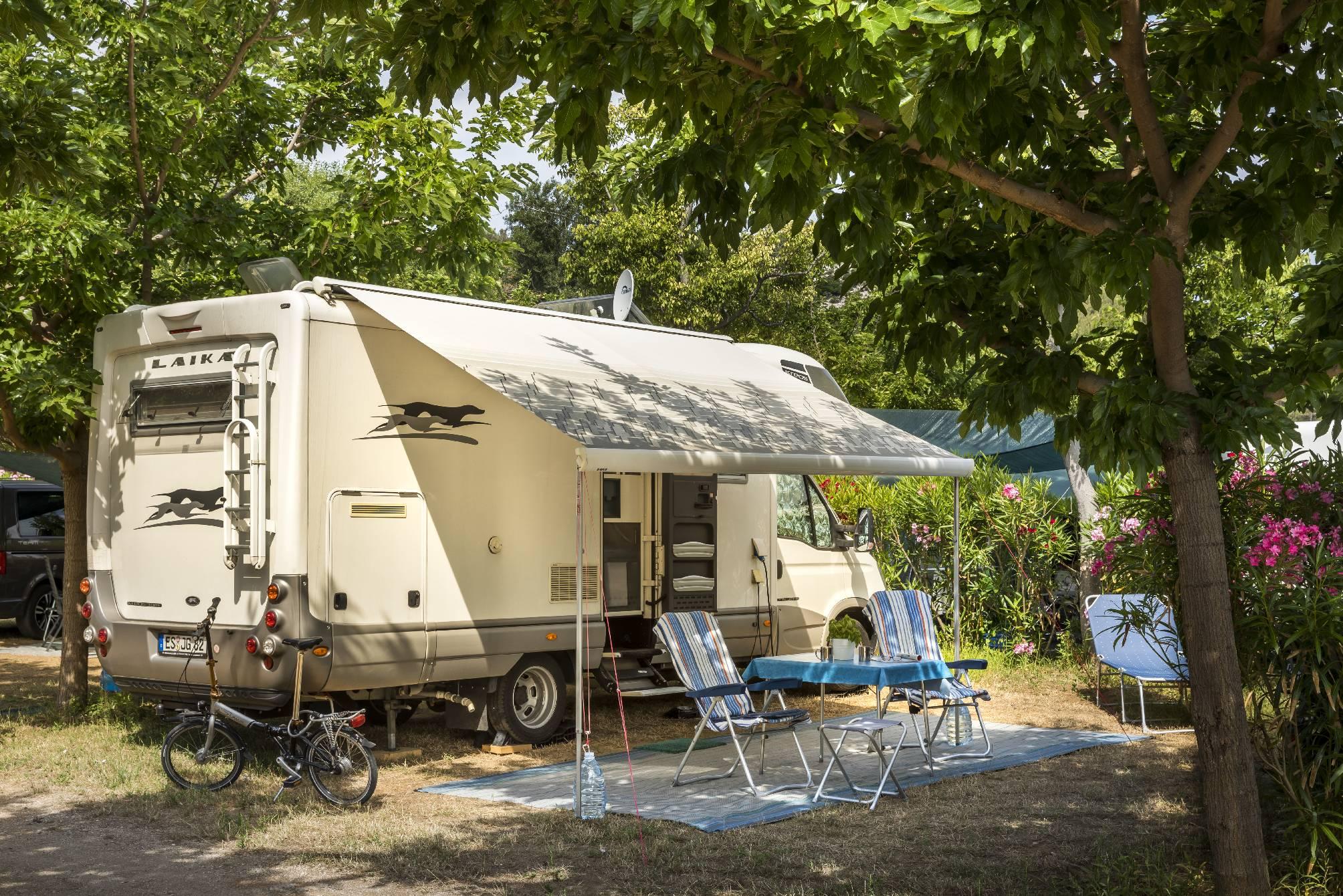 Wakacje na łonie natury - Camping Adriatic – zdjęcie 4