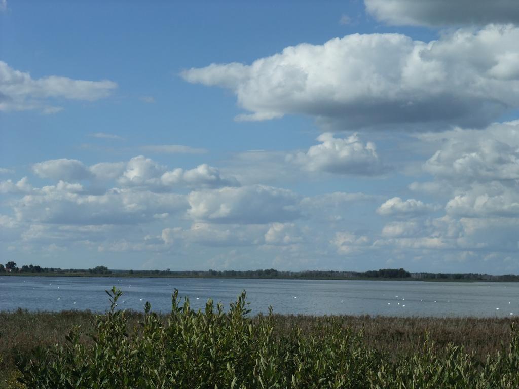 Jezioro łabędzie - Łuknajno – zdjęcie 4