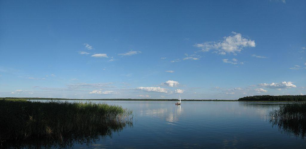 Swan lake - Łuknajno – image 2