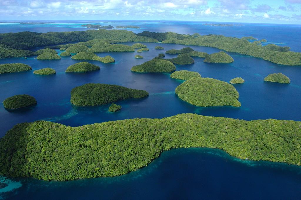 Diving in Palau – image 3
