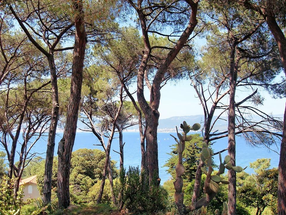 Korsyka – wakacje na Wyspie Piękna – zdjęcie 1