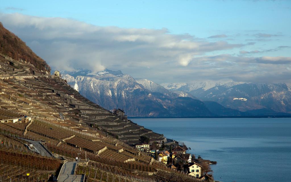 Fork in the water - Vevey – image 1