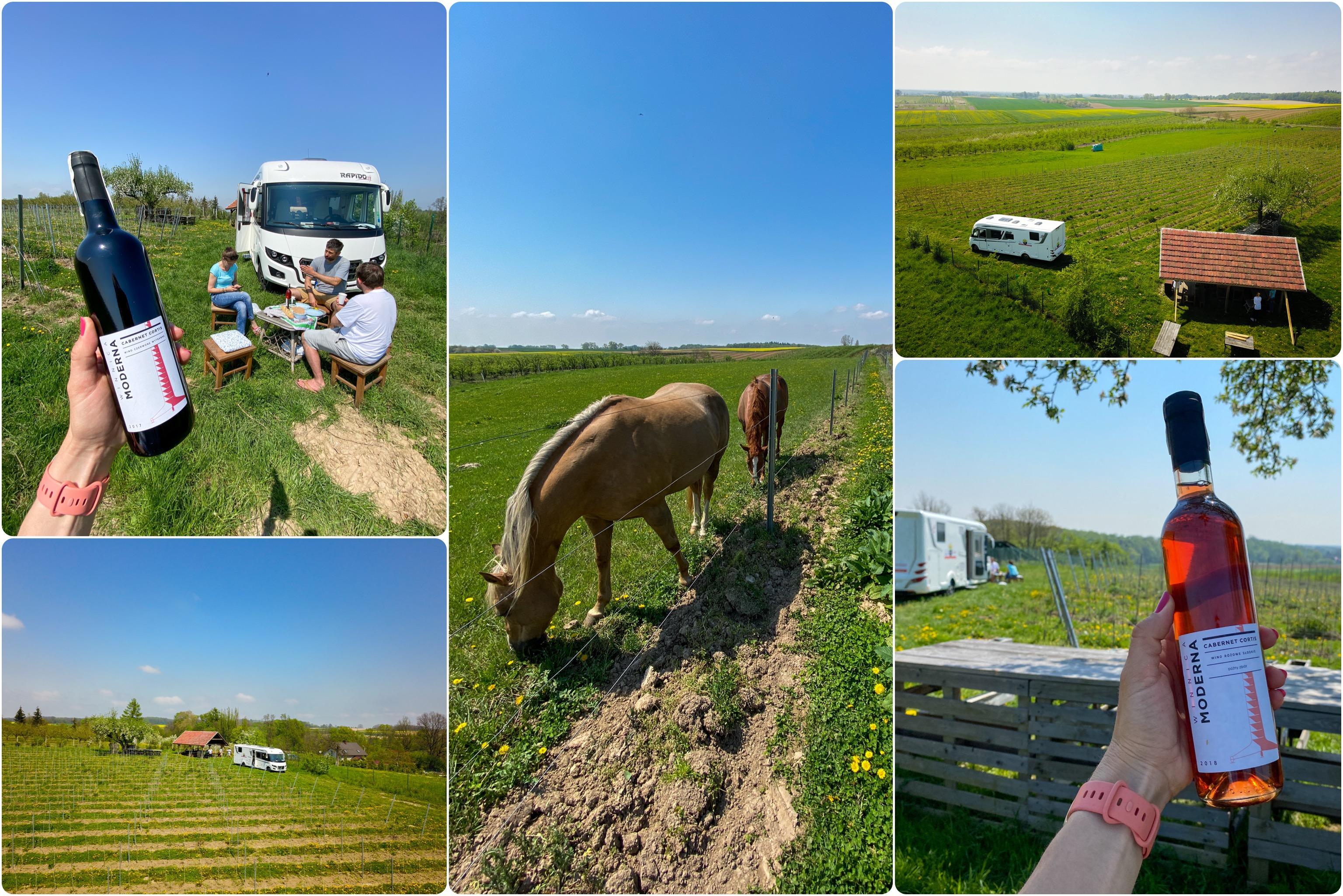 7 vineyards of Lower Silesia that we visited in a motorhome – image 2
