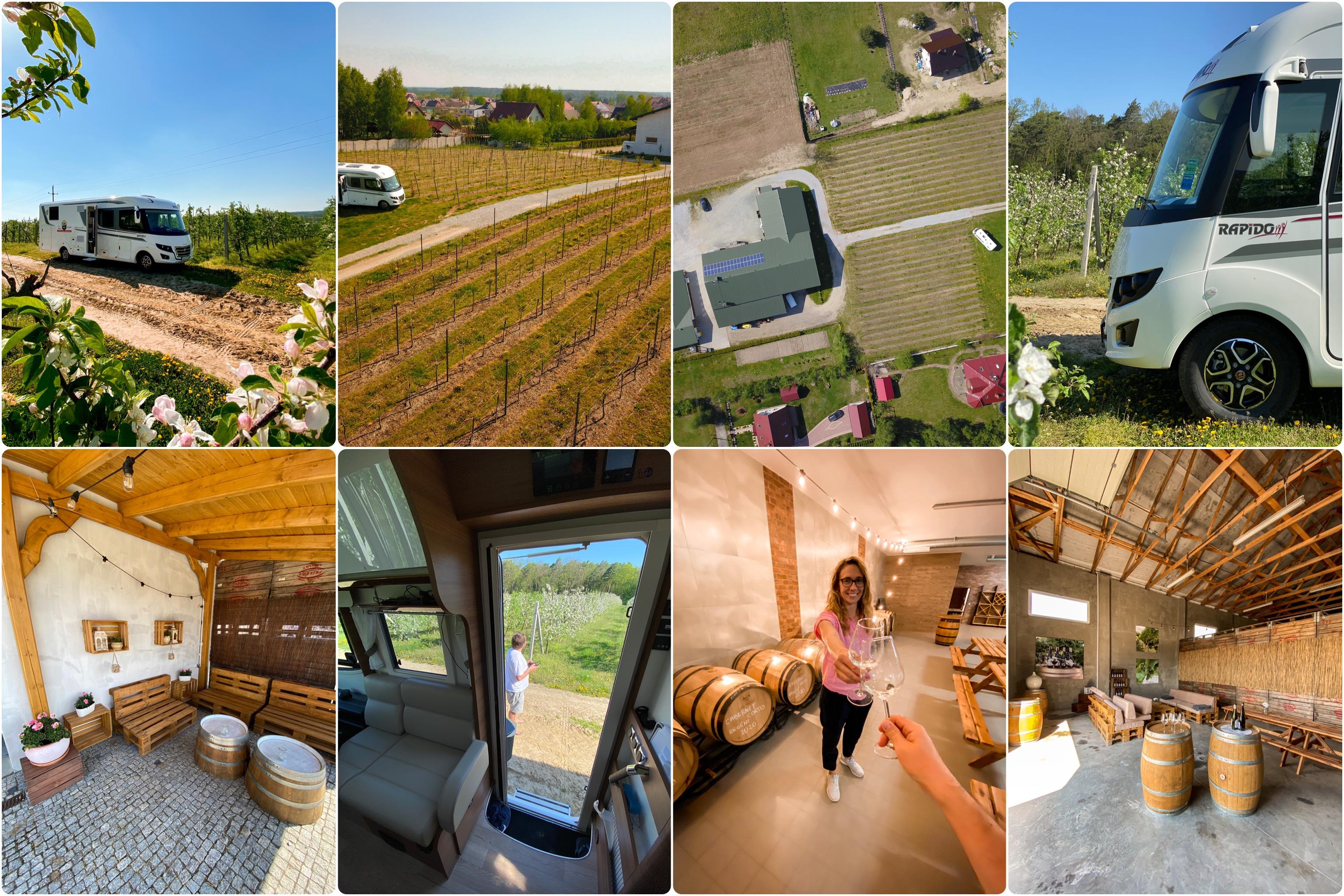 7 vineyards of Lower Silesia that we visited in a motorhome – image 3