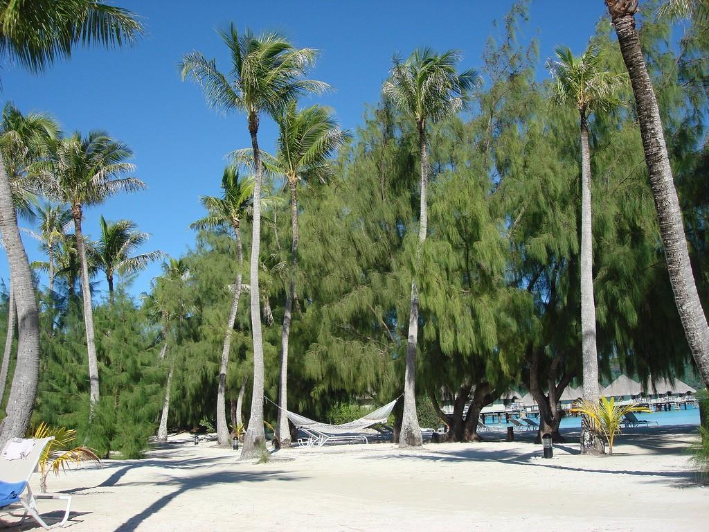 Czarna perła pacyfiku - Bora Bora  – zdjęcie 1