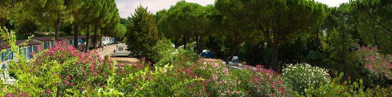Holidays on the shores of Bracciano – image 2
