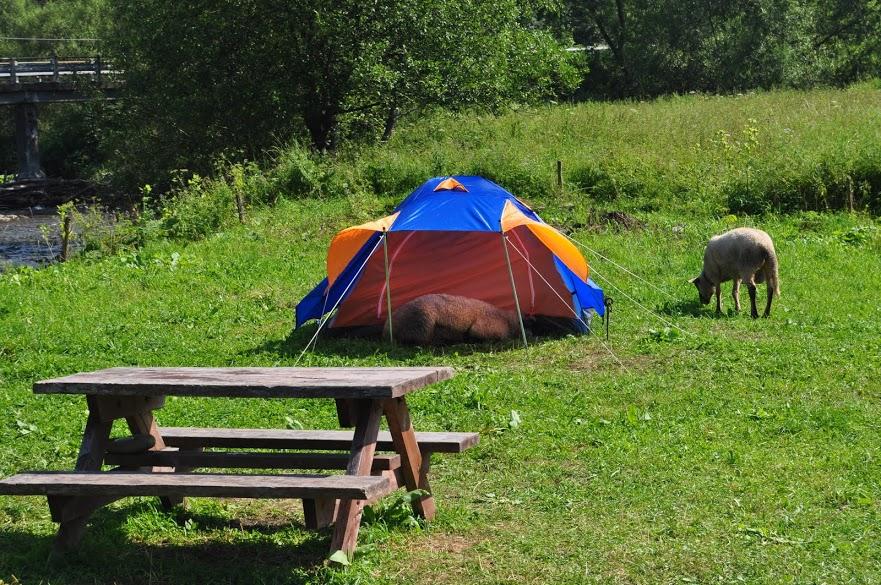 How to pitch a tent so that it doesn&#39;t rain on our heads – image 3