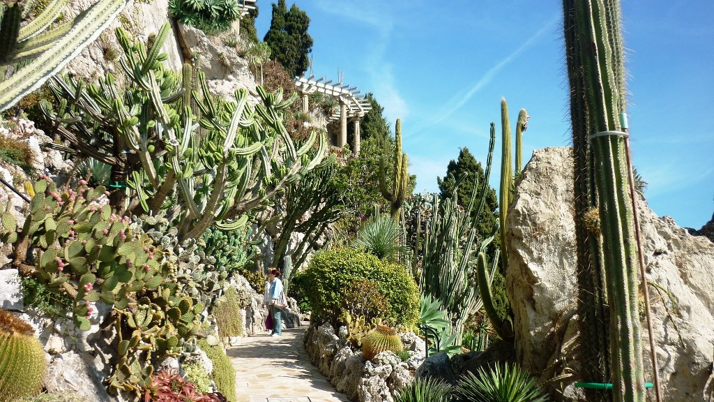 111016-jardin-exotique-and-other-monaco-pics-038.jpg