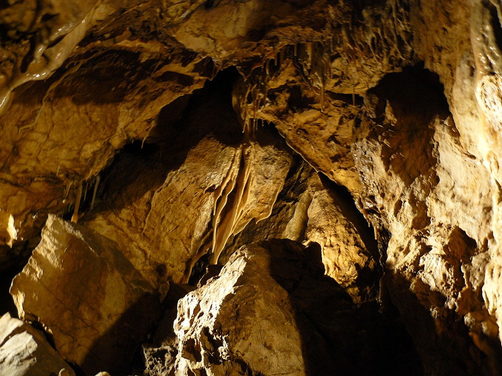 bozkovske-dolomitove-jeskyne-prasopestilence-upkoadwikimediaorg-cc-byjpg