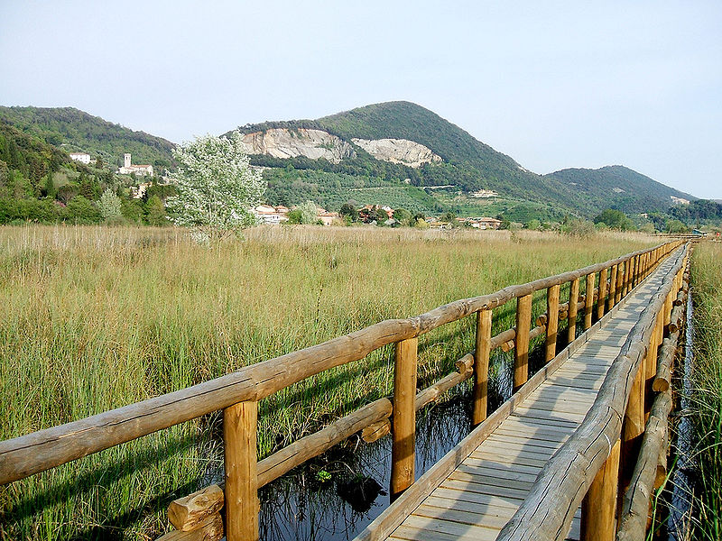 la-palude-del-lago-di-massaciuccoli-park-regionalny-dnax-wwwwikimediaorg-cc-by-sajpg