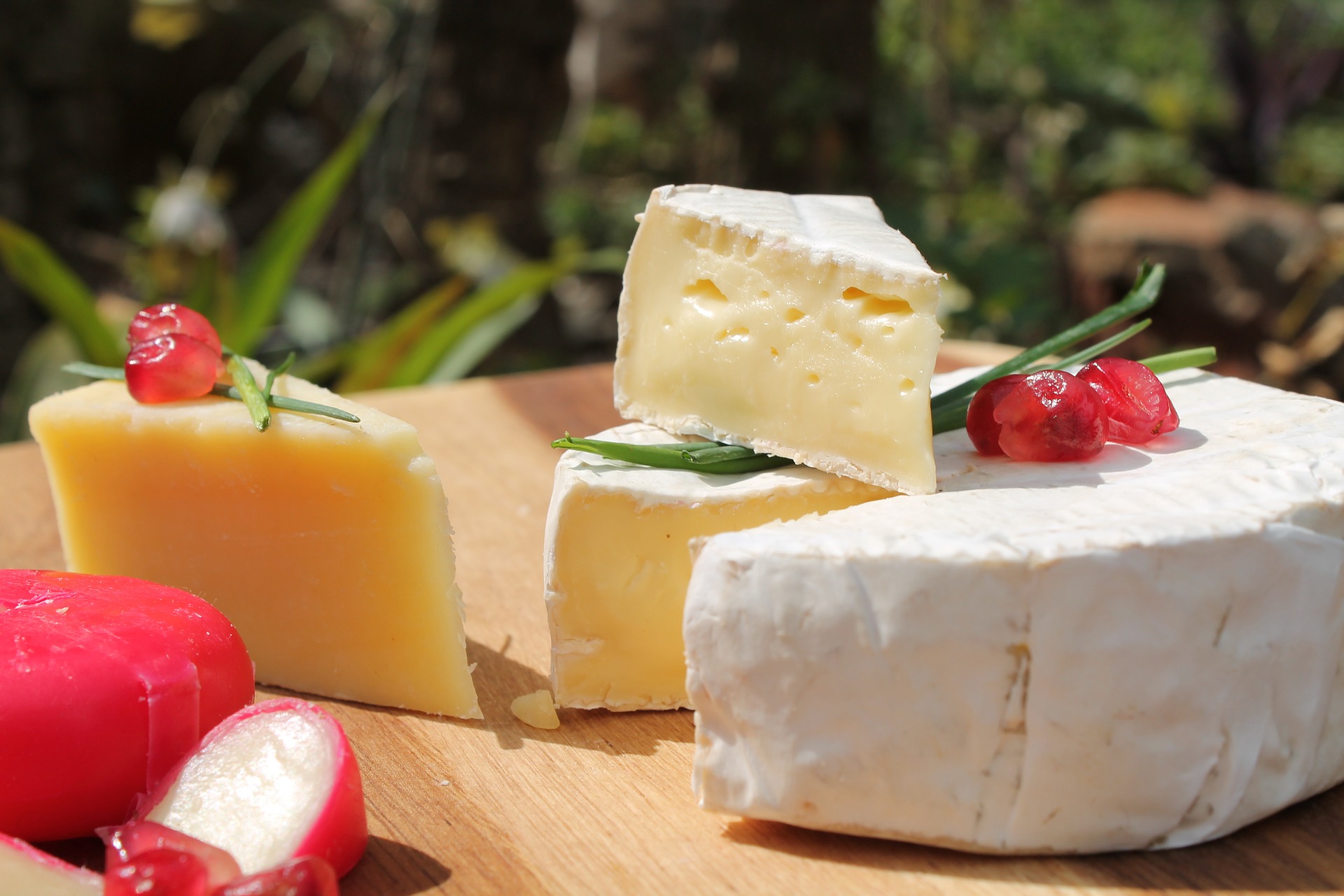 cheese-2829034_1920jpg